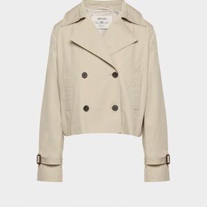 Aritzia Babaton Esquire Trench Coat